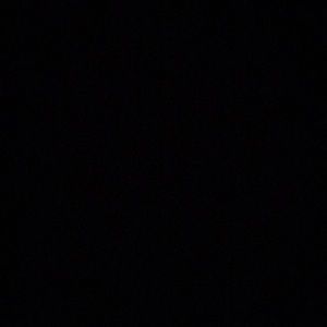 Meet your Posher, Deedee